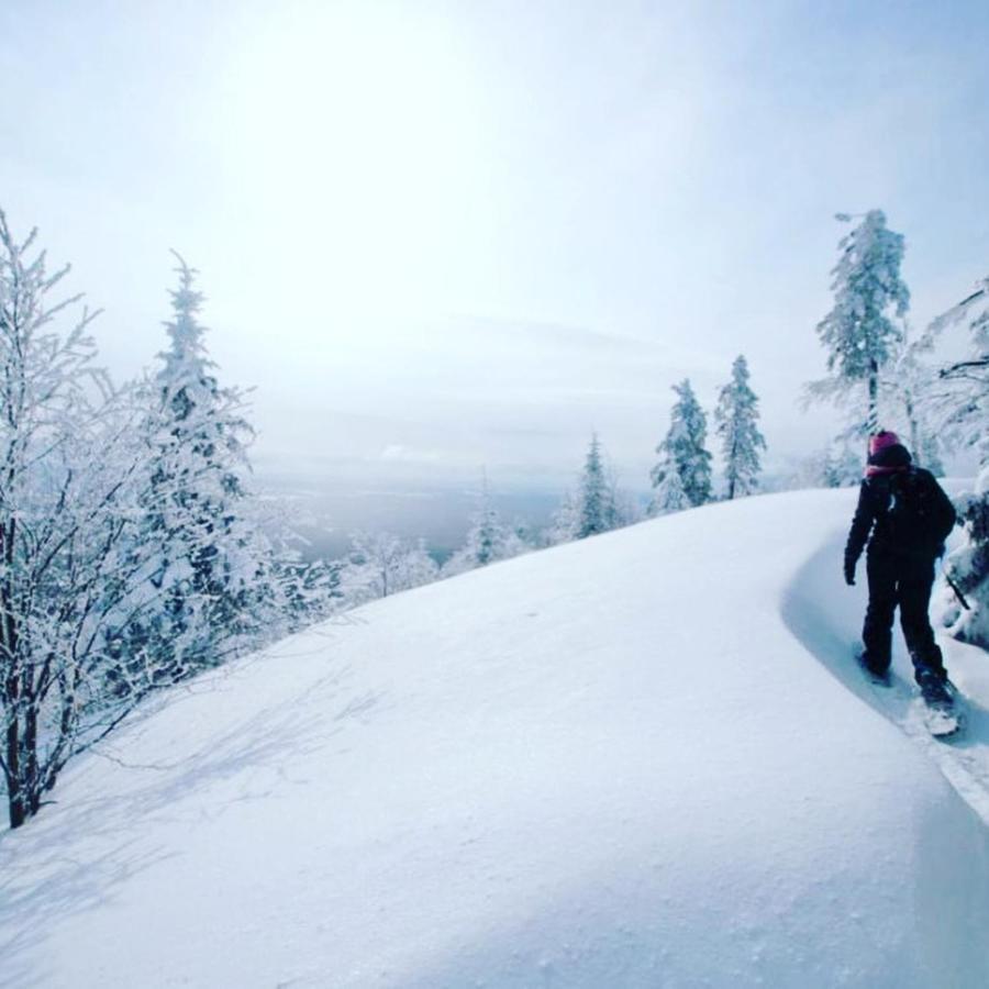Gite Aventures Quebec Sainte Brigitte de Laval Экстерьер фото
