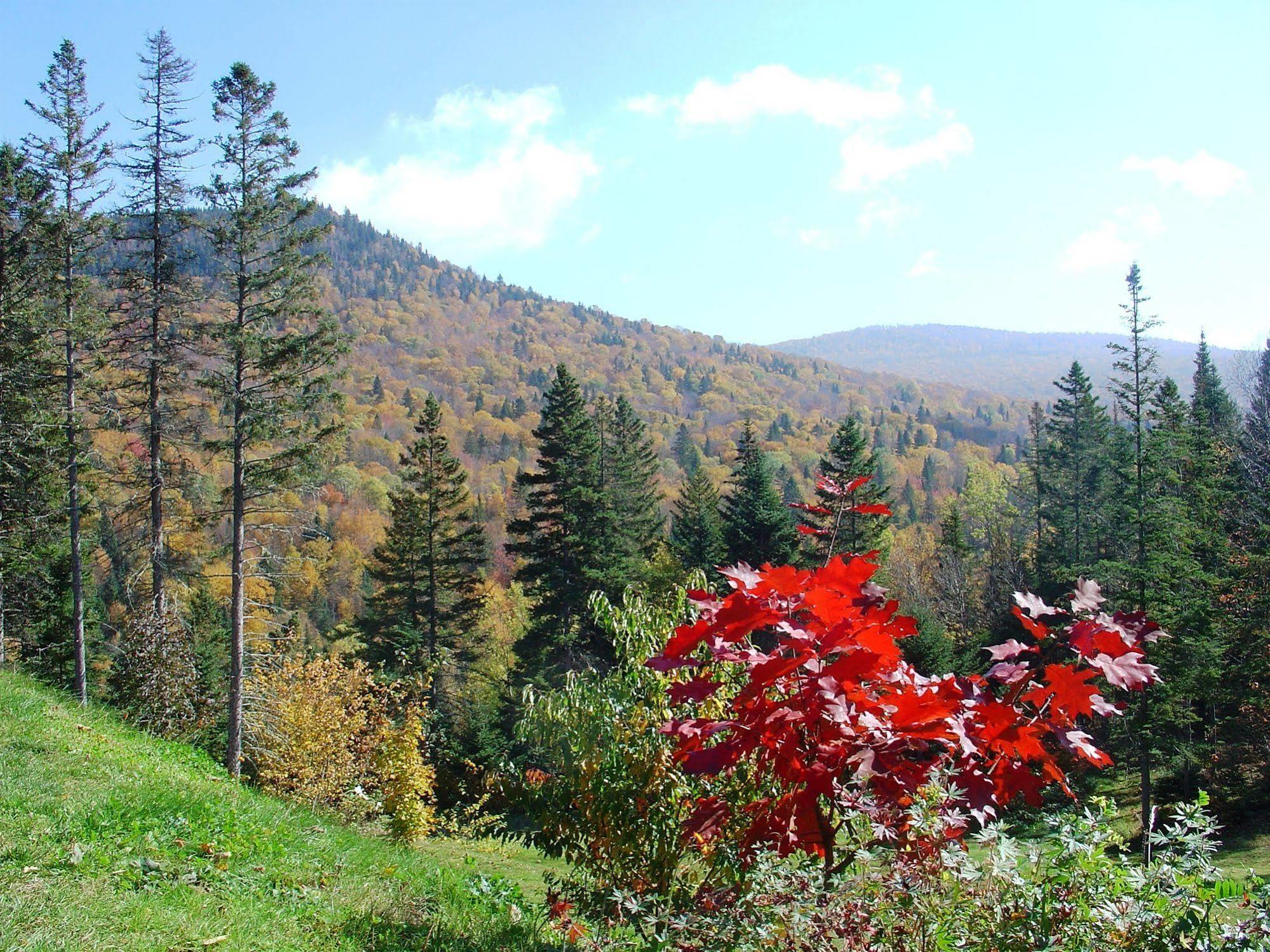 Gite Aventures Quebec Sainte Brigitte de Laval Экстерьер фото